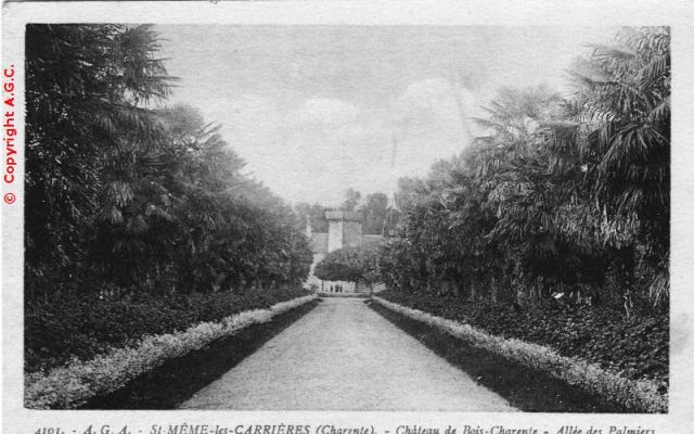 Chateau de Bois-Charente - allee des palmiers.jpg
